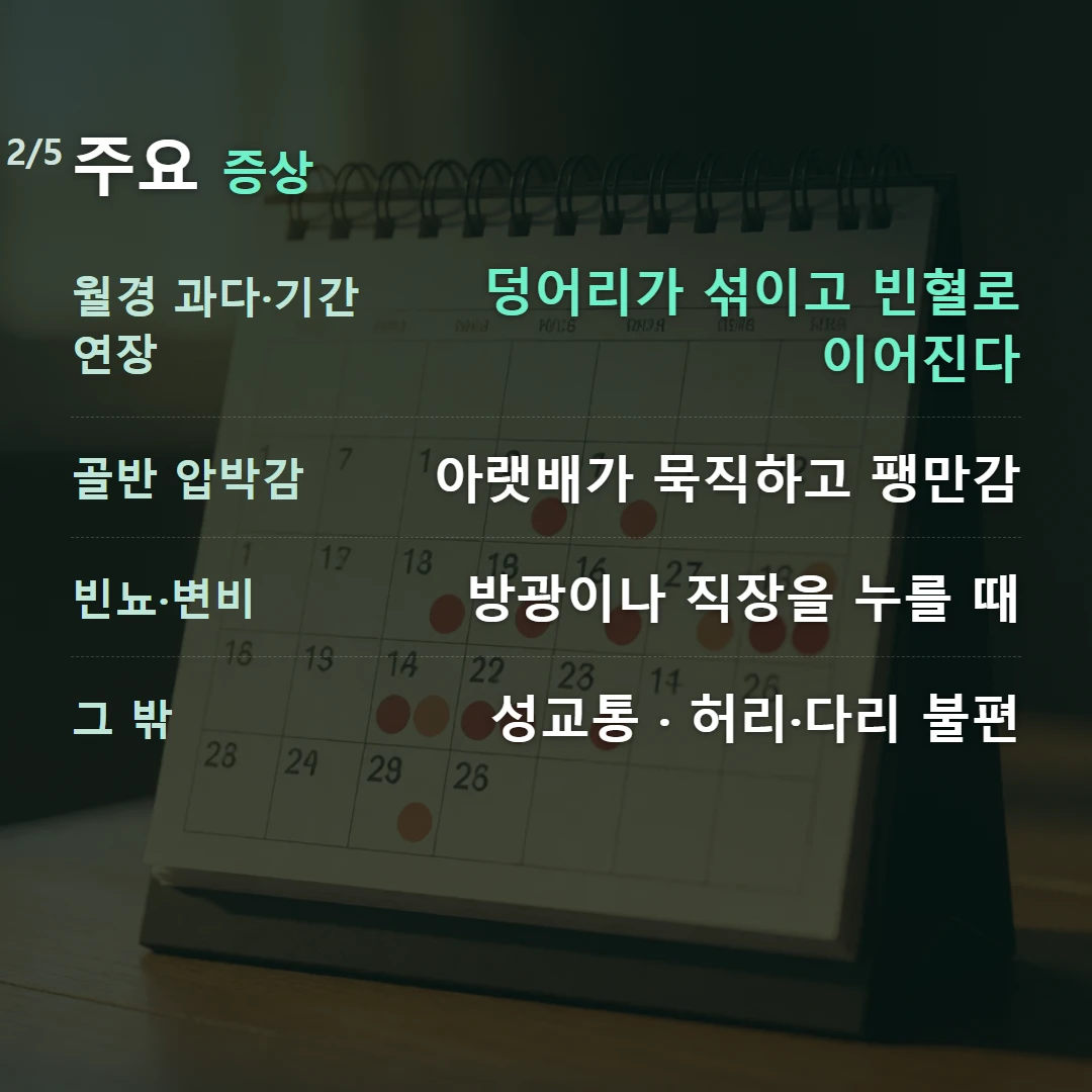 주요 증상 — 월경 과다·기간 연장 덩어리가 섞이고 빈혈로 이어진다, 골반 압박감 아랫배가 묵직하고 팽만감, 빈뇨·변비 방광이나 직장을 누를 때, 그 밖 성교통 · 허리·다리 불편