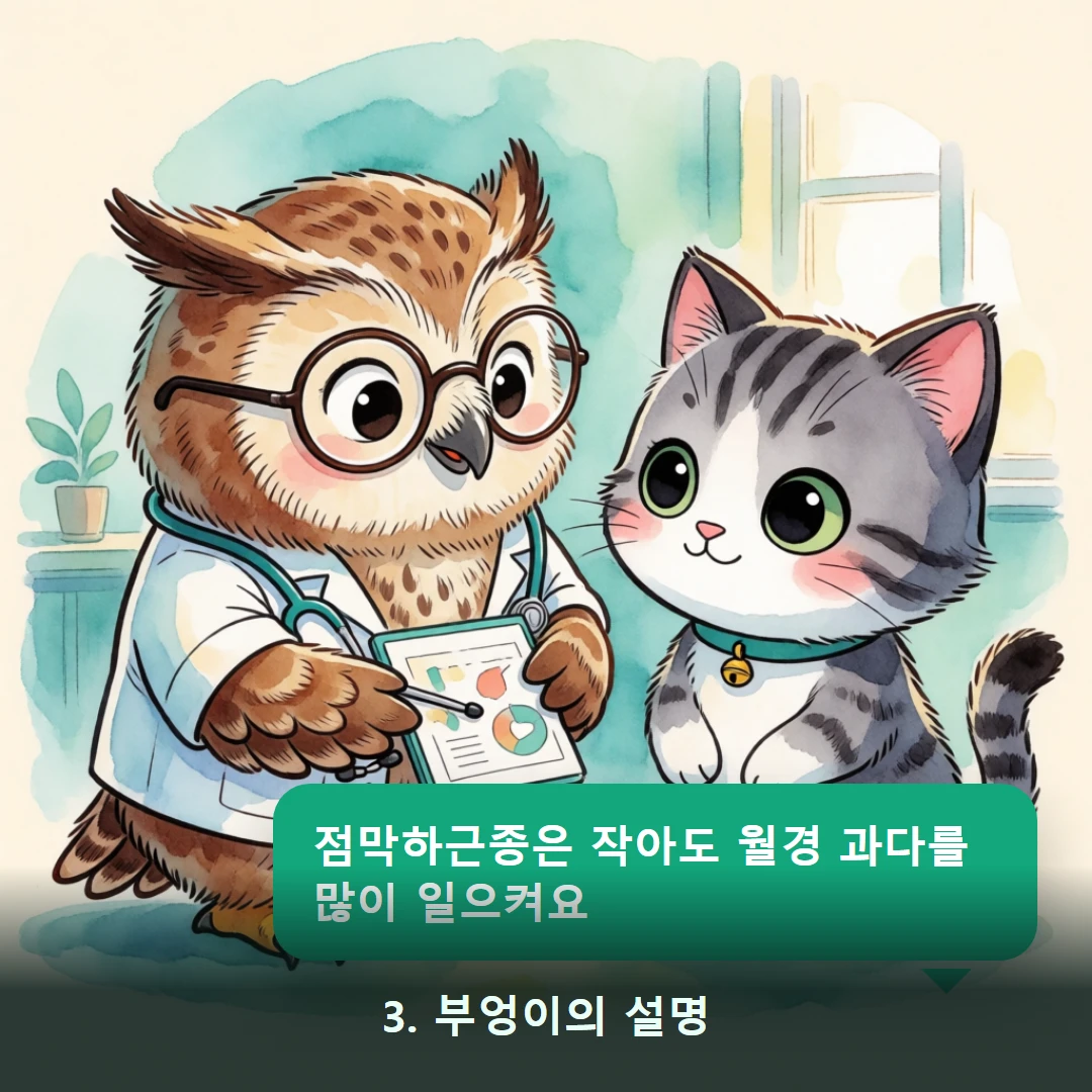 웹툰 3컷 — 3. 부엉이의 설명 (점막하근종은 작아도 월경 과다를 많이 일으켜요)