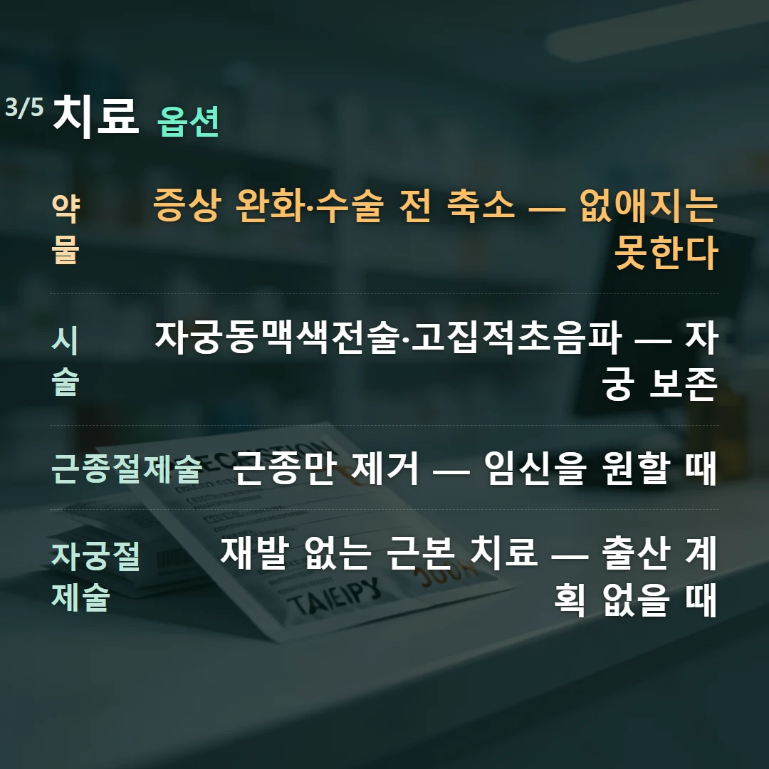 치료 옵션 — 약물 증상 완화·수술 전 축소 — 없애지는 못한다, 시술 자궁동맥색전술·고집적초음파 — 자궁 보존, 근종절제술 근종만 제거 — 임신을 원할 때, 자궁절제술 재발 없는 근본 치료 — 출산 계획 없을 때