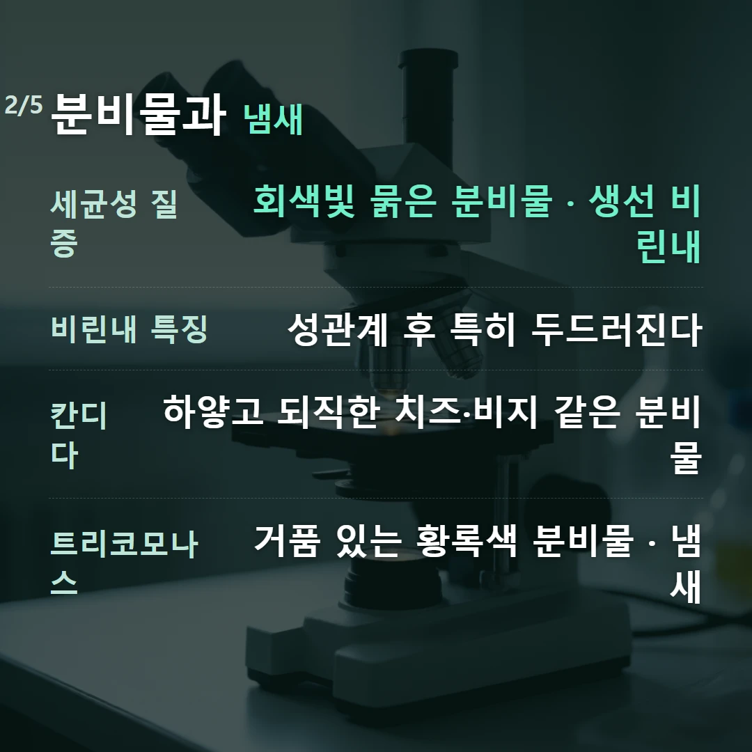 분비물과 냄새 — 세균성 질증 회색빛 묽은 분비물 · 생선 비린내, 비린내 특징 성관계 후 특히 두드러진다, 칸디다 하얗고 되직한 치즈·비지 같은 분비물, 트리코모나스 거품 있는 황록색 분비물 · 냄새