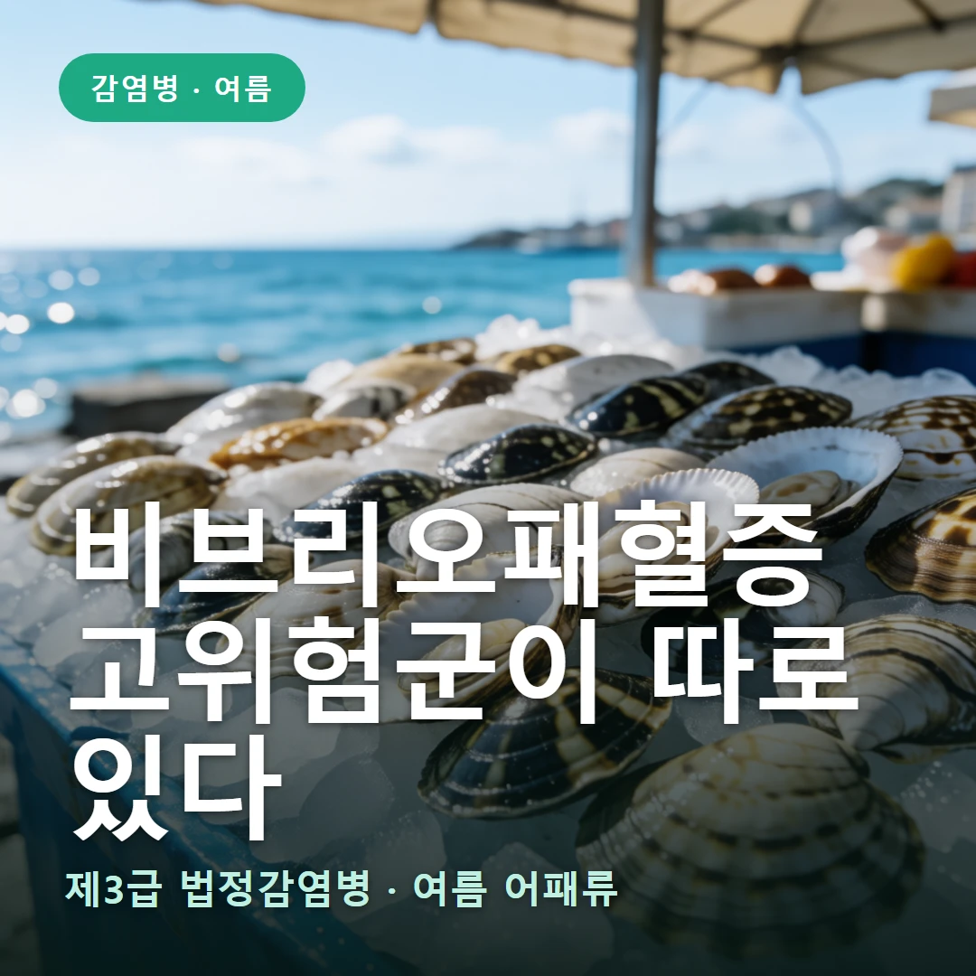 비브리오패혈증 요약 표지 — 제3급 법정감염병 · 여름 어패류
