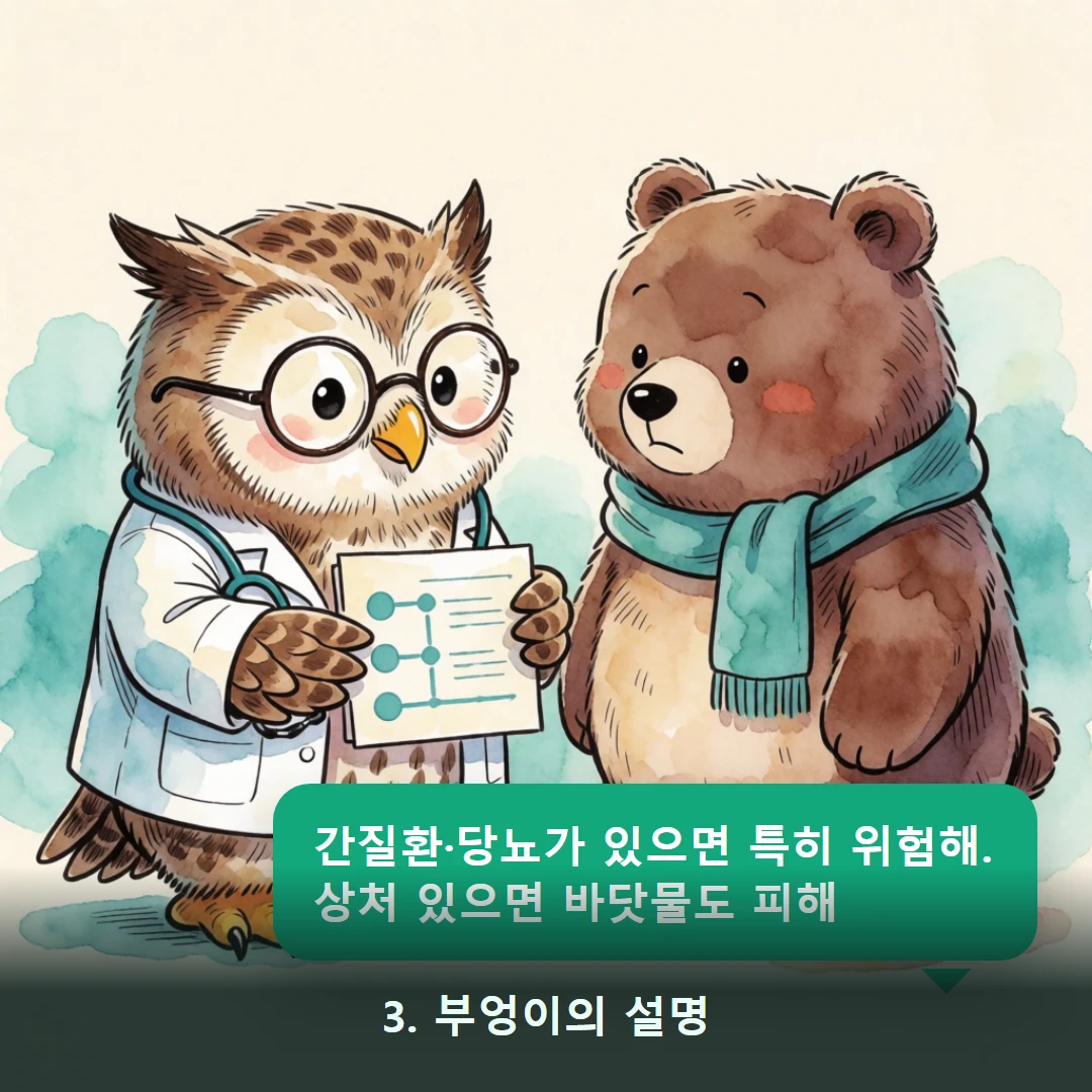 웹툰 3컷 — 3. 부엉이의 설명 (간질환·당뇨가 있으면 특히 위험해. 상처 있으면 바닷물도 피해)