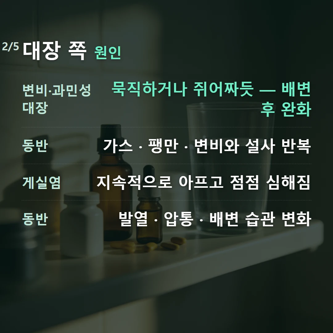 대장 쪽 원인 — 변비·과민성대장 묵직하거나 쥐어짜듯 — 배변 후 완화, 동반 가스 · 팽만 · 변비와 설사 반복, 게실염 지속적으로 아프고 점점 심해짐, 동반 발열 · 압통 · 배변 습관 변화