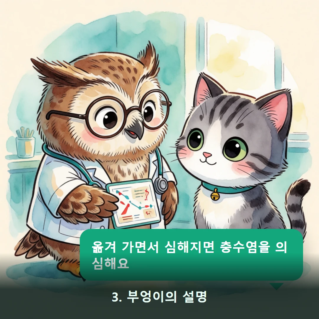 웹툰 3컷 — 3. 부엉이의 설명 (옮겨 가면서 심해지면 충수염을 의심해요)