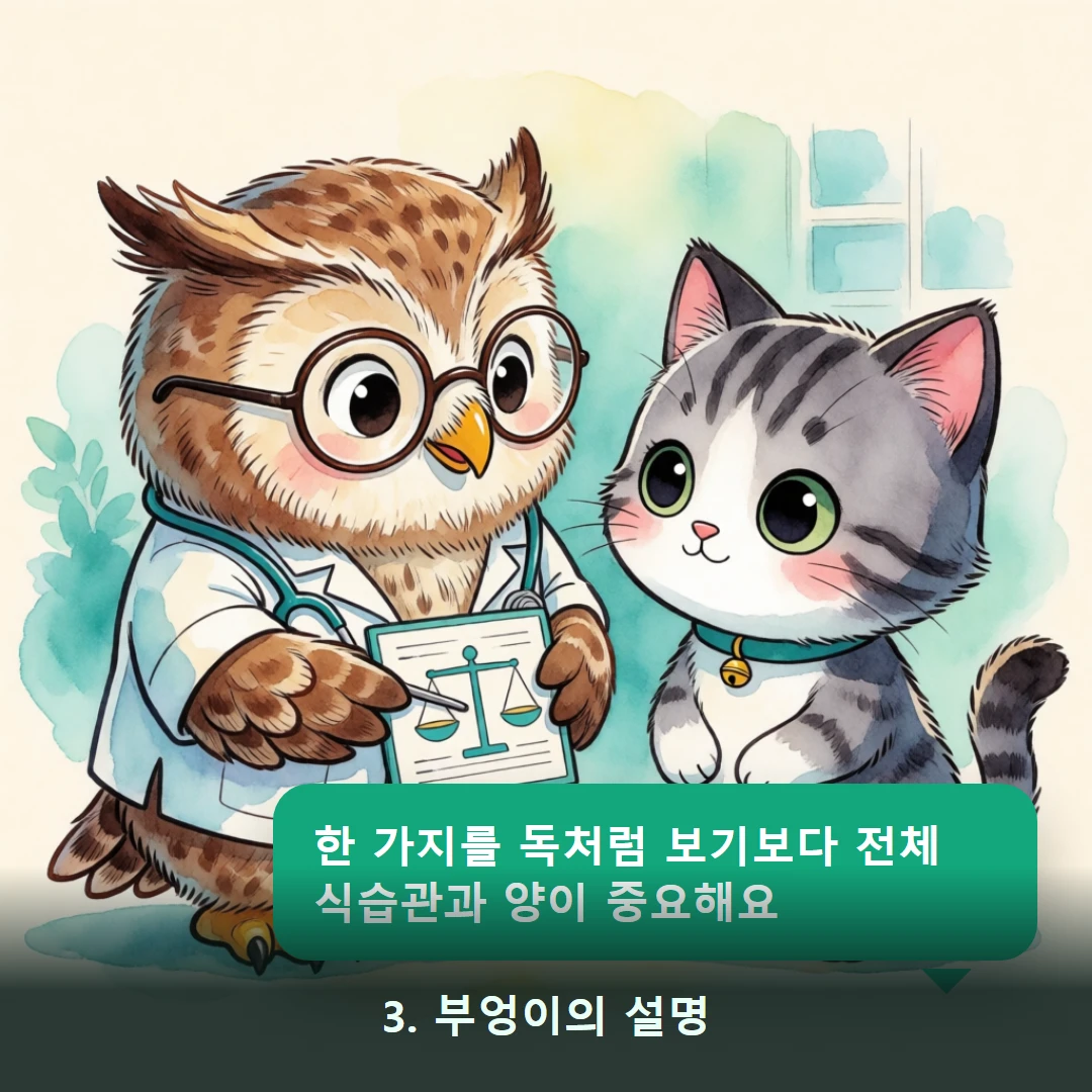 웹툰 3컷 — 3. 부엉이의 설명 (한 가지를 독처럼 보기보다 전체 식습관과 양이 중요해요)